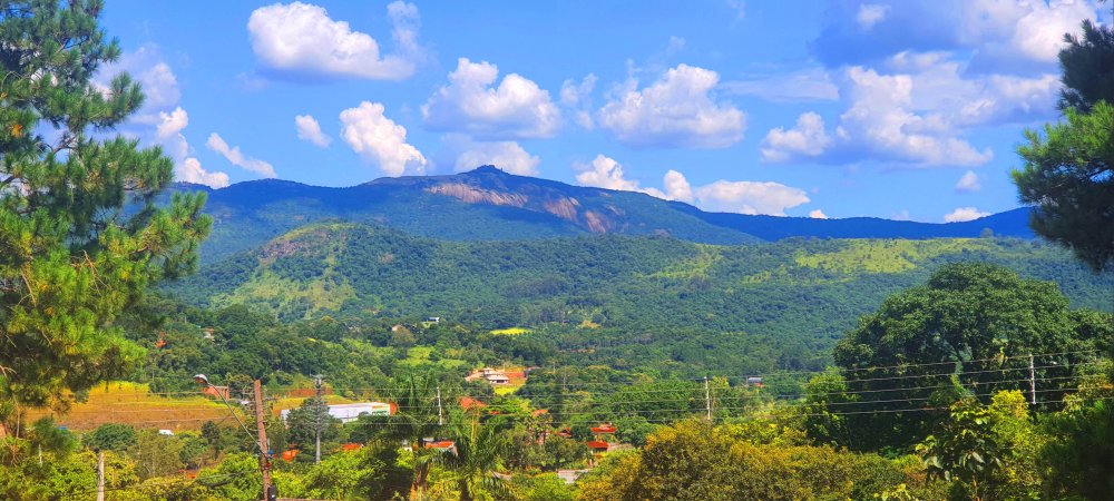 Fazenda à venda com 4 quartos, 750m² - Foto 30