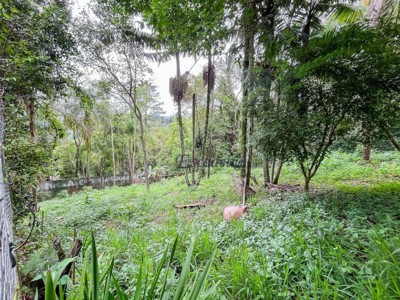 Loteamento e Condomínio à venda, 1000M2 - Foto 3