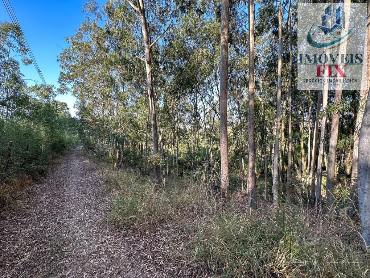 Terreno à venda, 50000m² - Foto 23