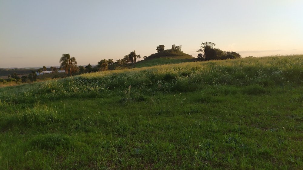 Fazenda à venda, 60m² - Foto 16