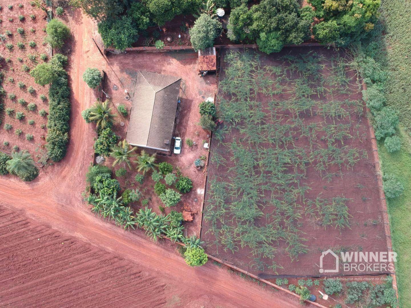 Chácara à venda com 3 quartos, 4500M2 - Foto 2