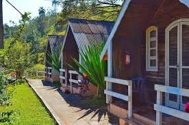 Haras e Área Rural Padrão à venda com 37 quartos, 192000M2 - Foto 3