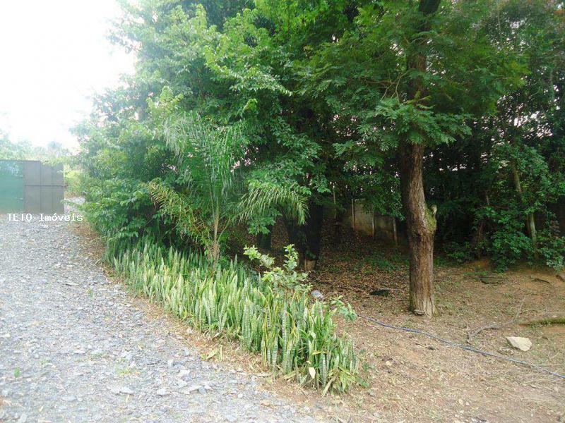 Chácara, 2 quartos, 3106 m² - Foto 4