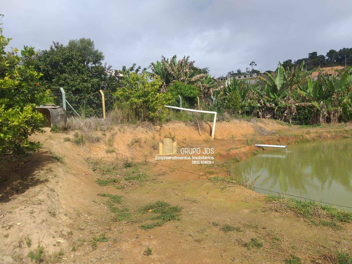 Terreno à venda, 11000M2 - Foto 3