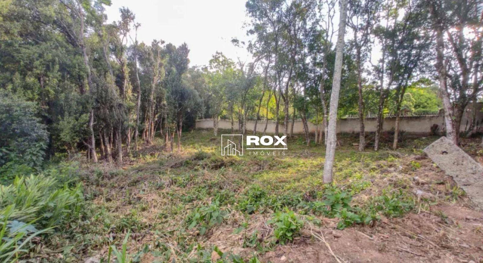 Terreno, 1372 m² - Foto 2