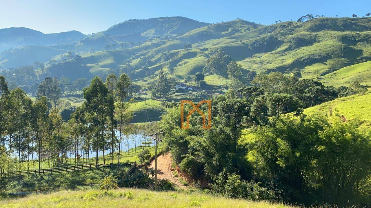 Fazenda à venda com 4 quartos, 3030000M2 - Foto 11