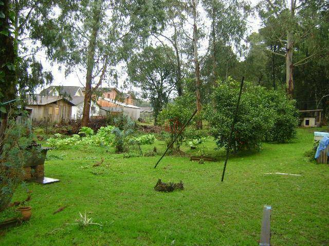 Terreno à venda, 1700M2 - Foto 4