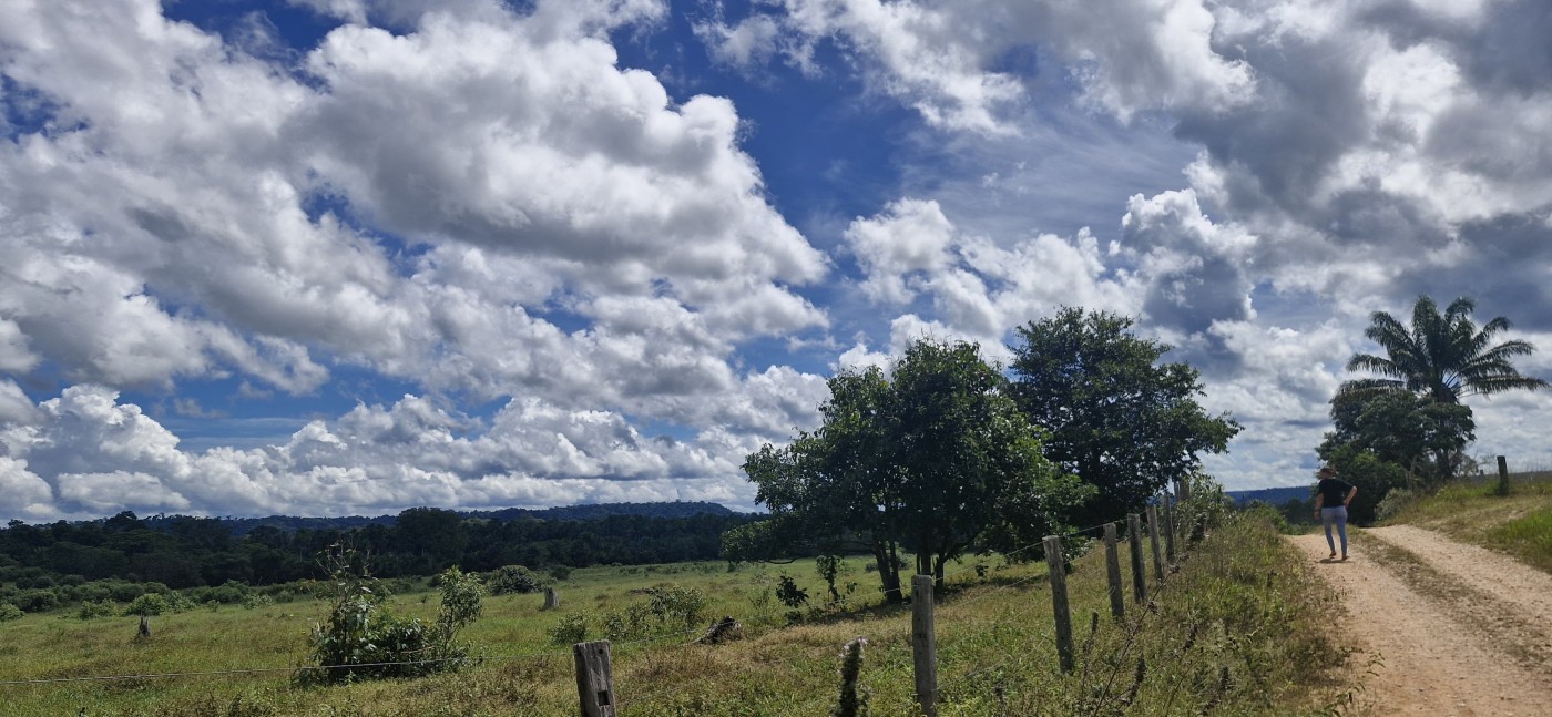 Chácara à venda, 500000m² - Foto 5