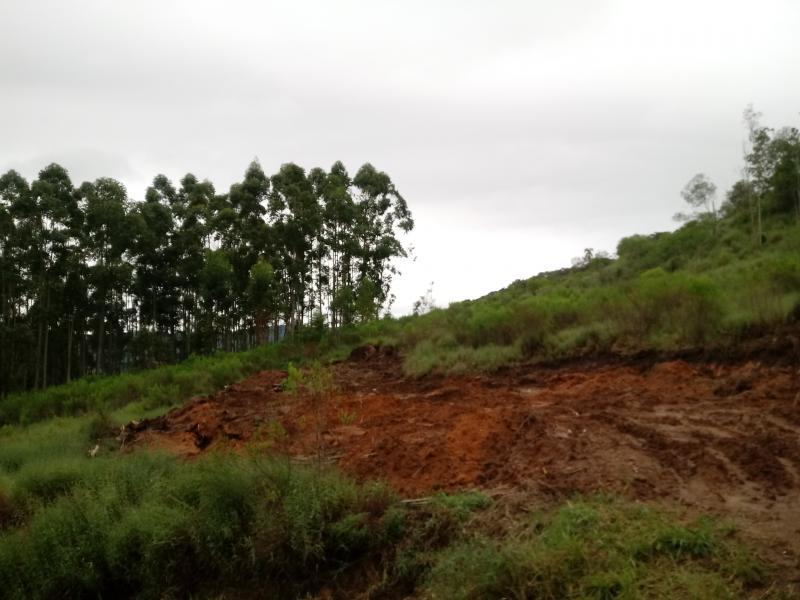 Fazenda à venda, 5000m² - Foto 13