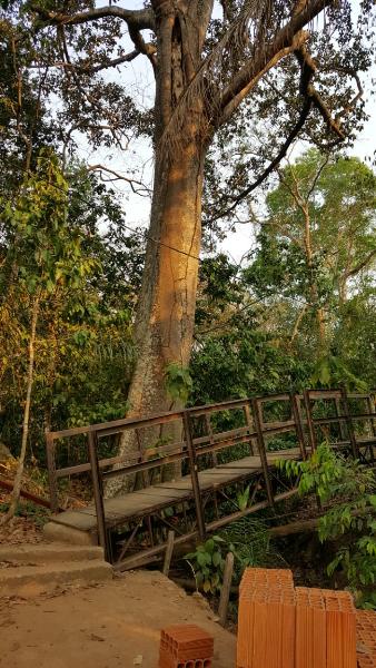 Fazenda à venda - Foto 6