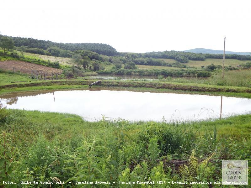 Fazenda à venda com 3 quartos, 60000m² - Foto 12