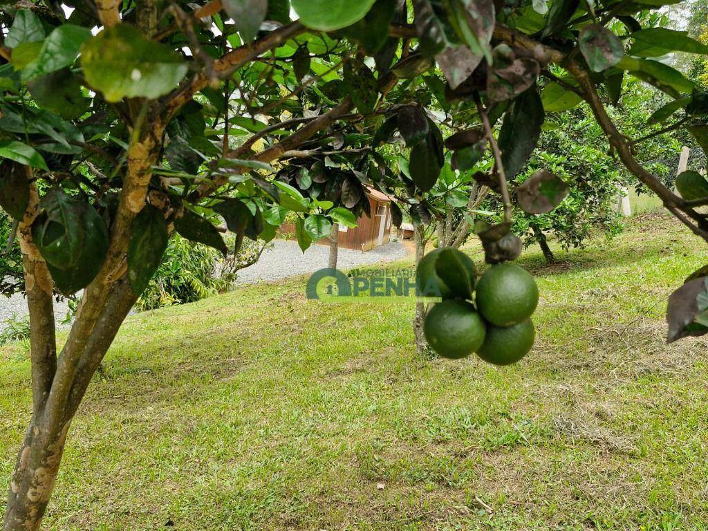 Chácara à venda com 2 quartos, 5300M2 - Foto 14