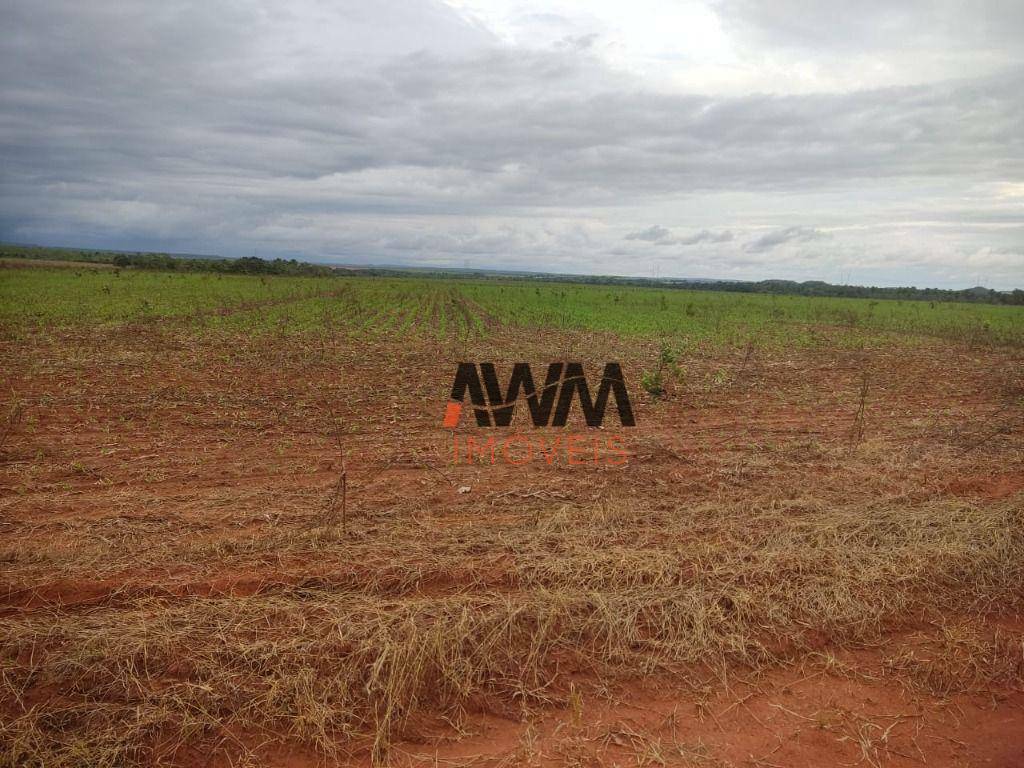 Fazenda à venda, 29999772M2 - Foto 19