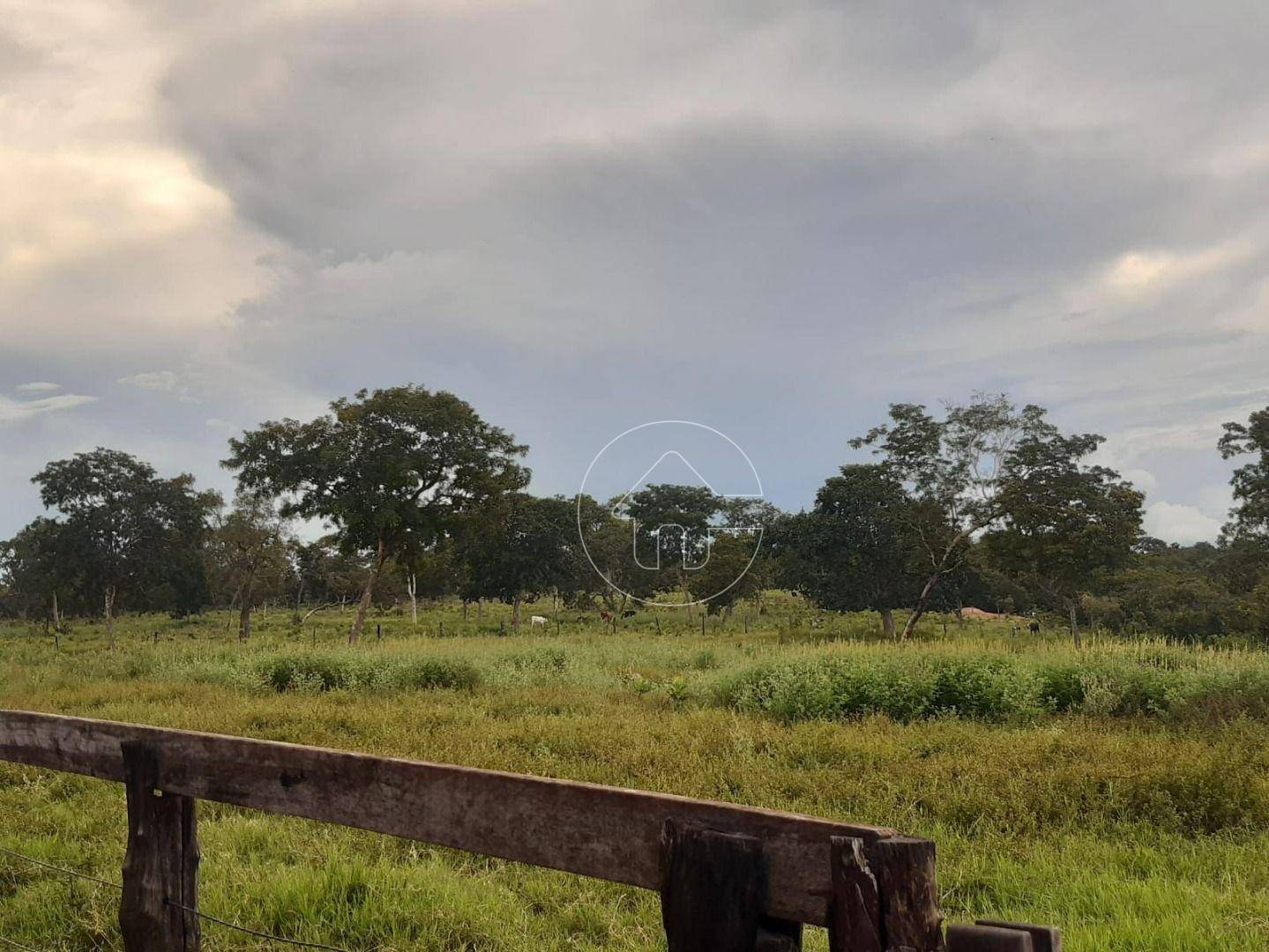Fazenda à venda, 726000M2 - Foto 1