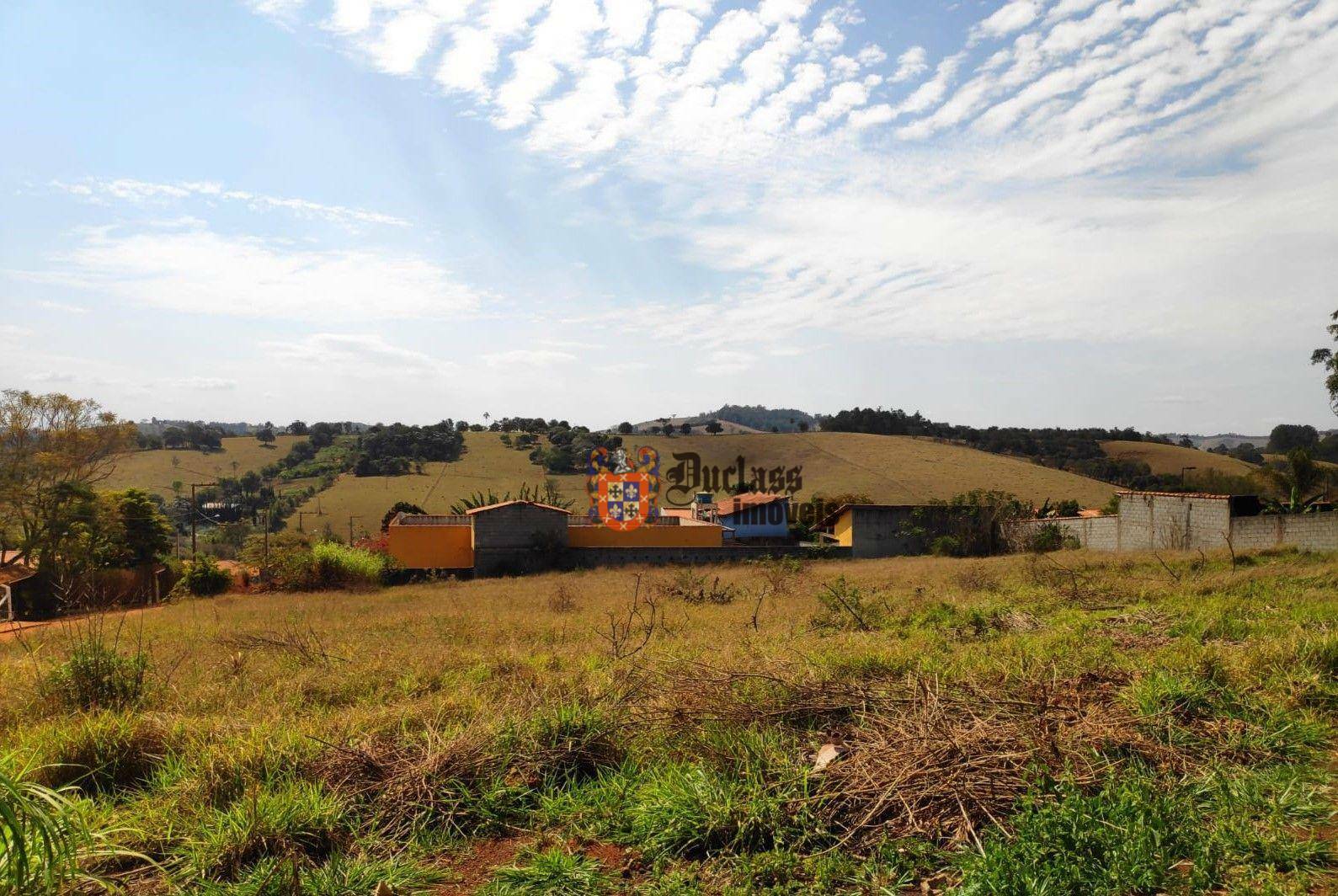 Terreno à venda, 3000M2 - Foto 4