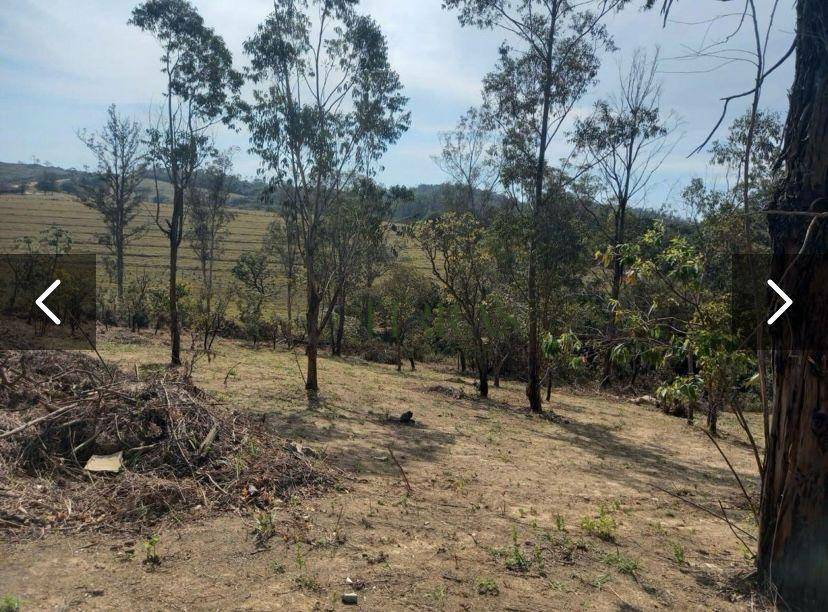 Loteamento e Condomínio à venda, 4894M2 - Foto 8