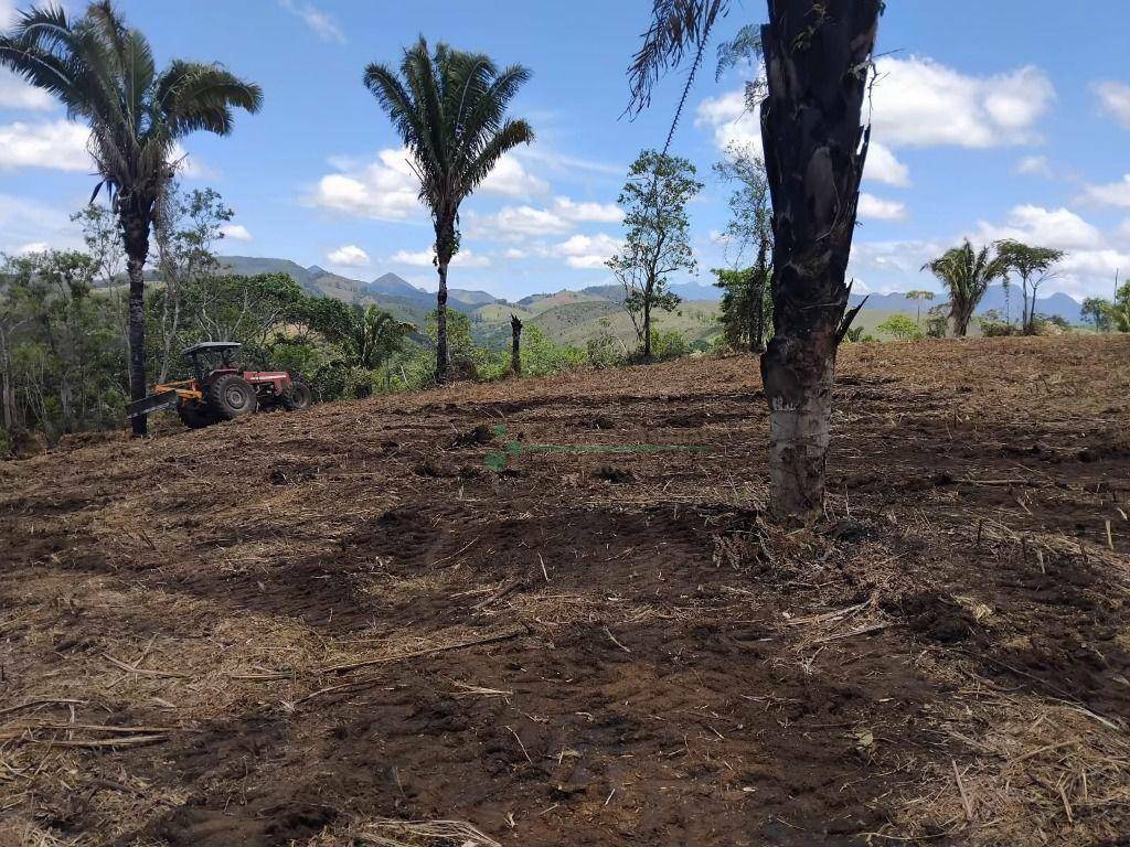 Terreno à venda, 23400M2 - Foto 4