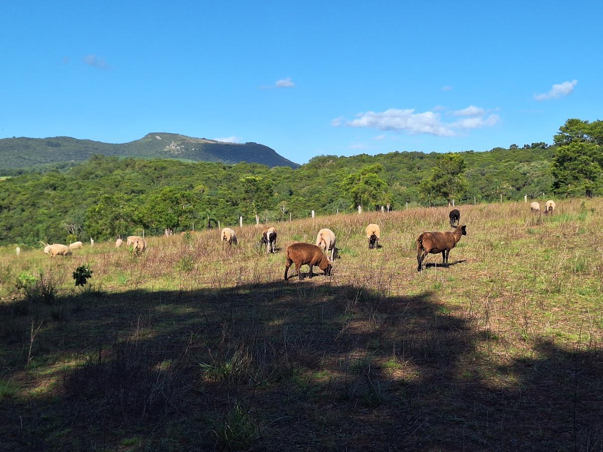 Loteamento e Condomínio à venda, 26000m² - Foto 8