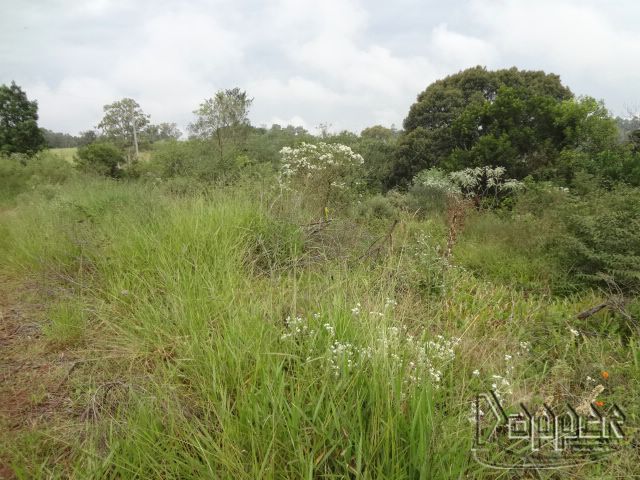 Chácara à venda - Foto 1