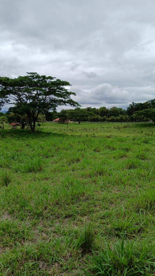 Fazenda à venda com 4 quartos, 19m² - Foto 23