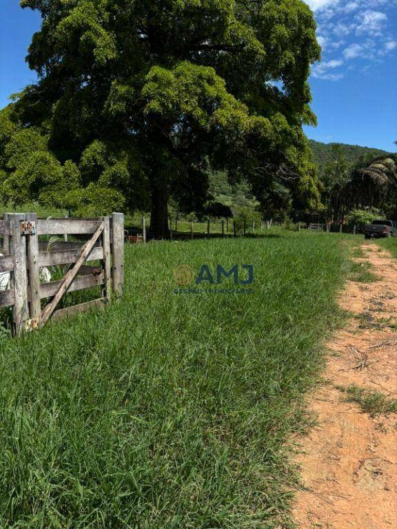 Fazenda à venda com 6 quartos, 500m² - Foto 20