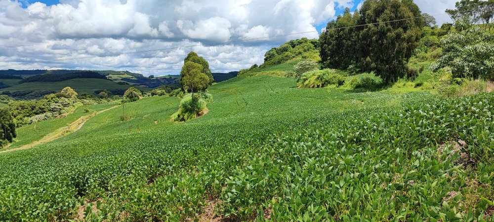 Fazenda à venda, 52m² - Foto 17