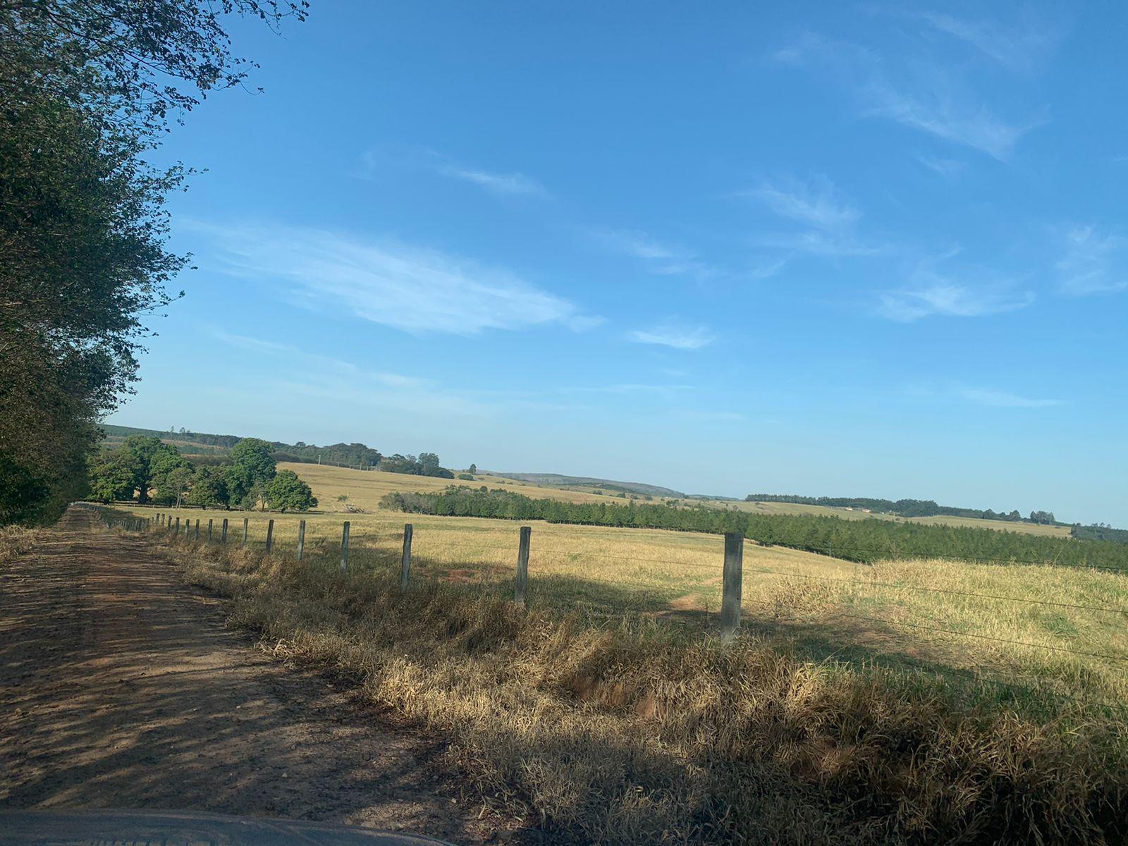 Fazenda à venda com 6 quartos, 6050000m² - Foto 16