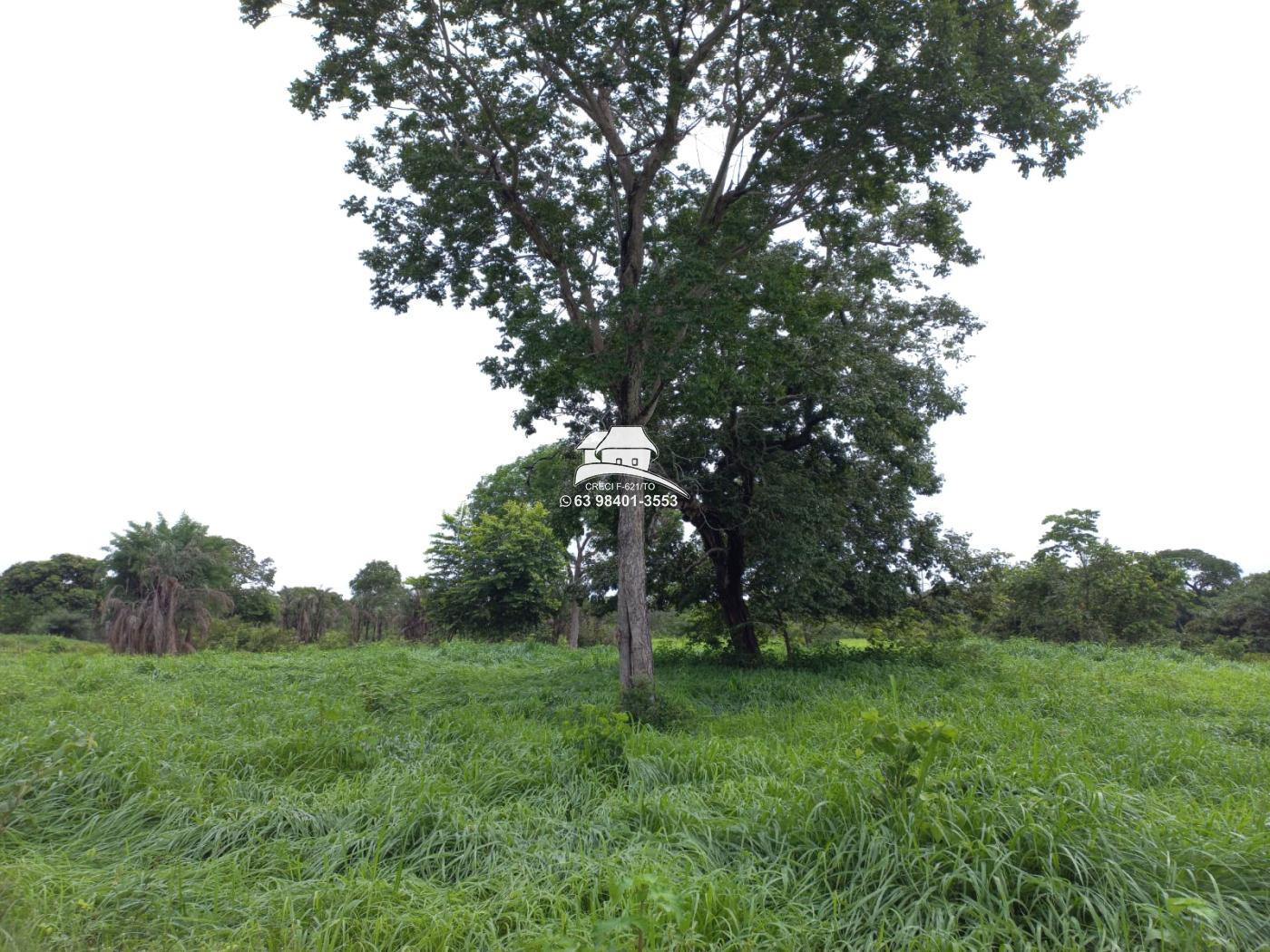 Fazenda à venda, 1m² - Foto 3