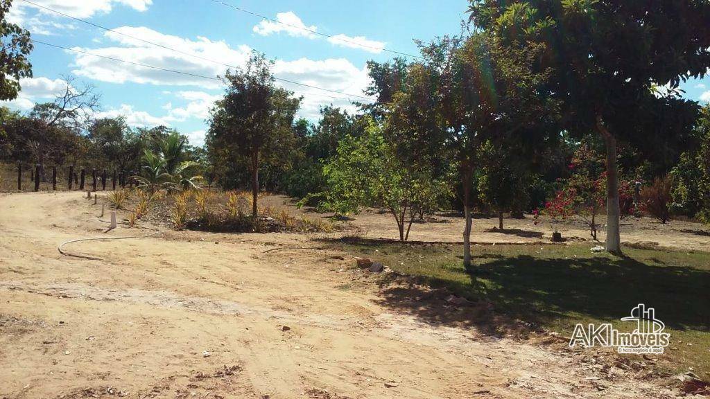 Fazenda à venda com 2 quartos, 4500000M2 - Foto 17