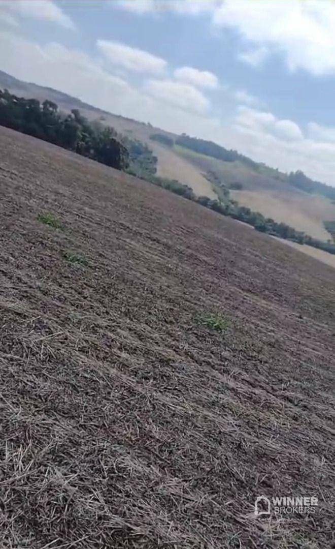 Fazenda à venda com 3 quartos, 3920000M2 - Foto 21