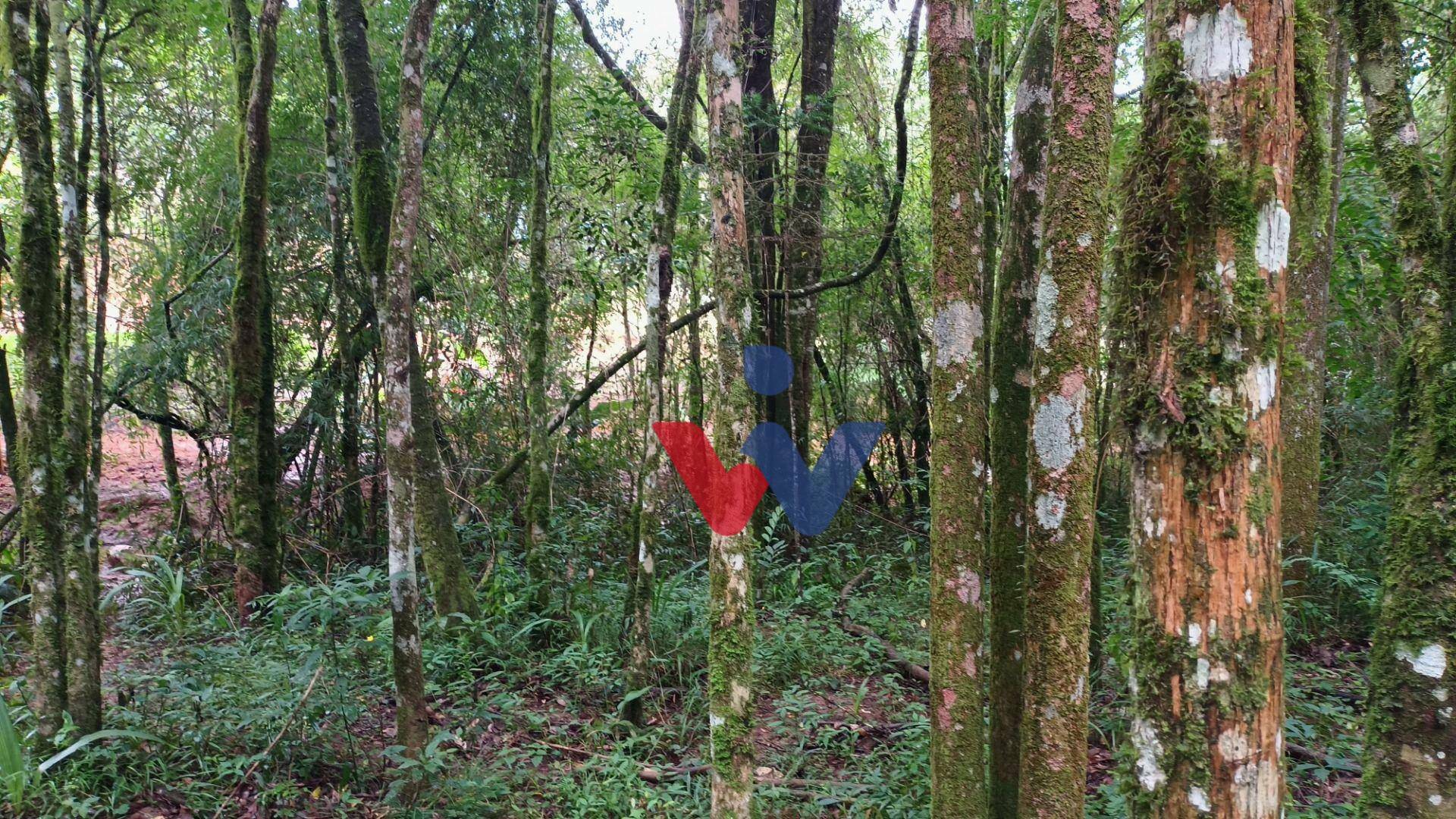 Chácara à venda com 2 quartos, 7000M2 - Foto 23