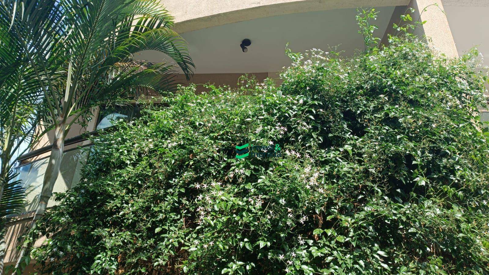 Casa à venda e aluguel com 3 quartos, 113m² - Foto 3