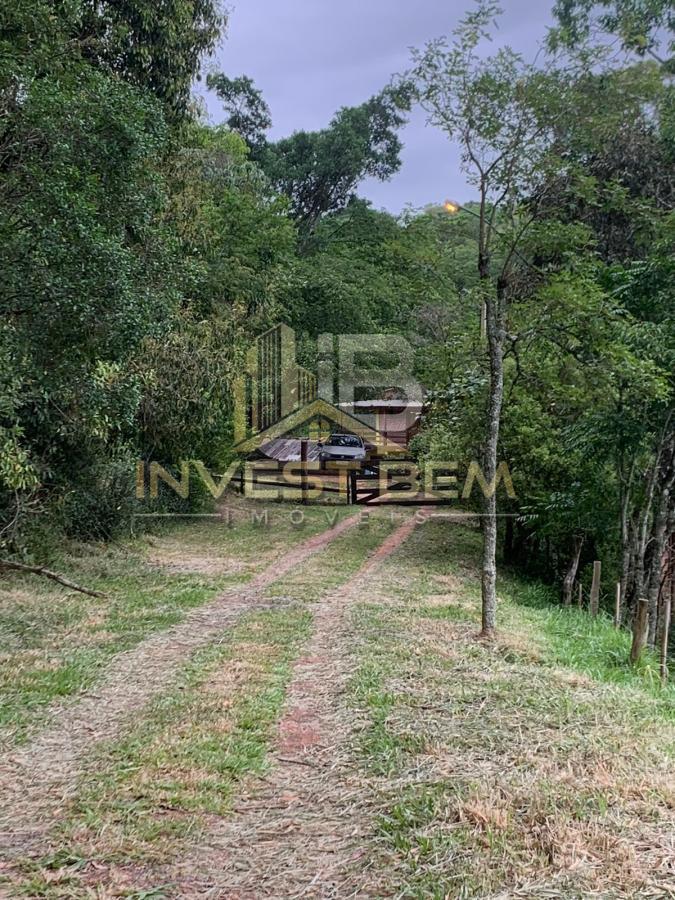 Fazenda à venda com 3 quartos, 20000m² - Foto 10