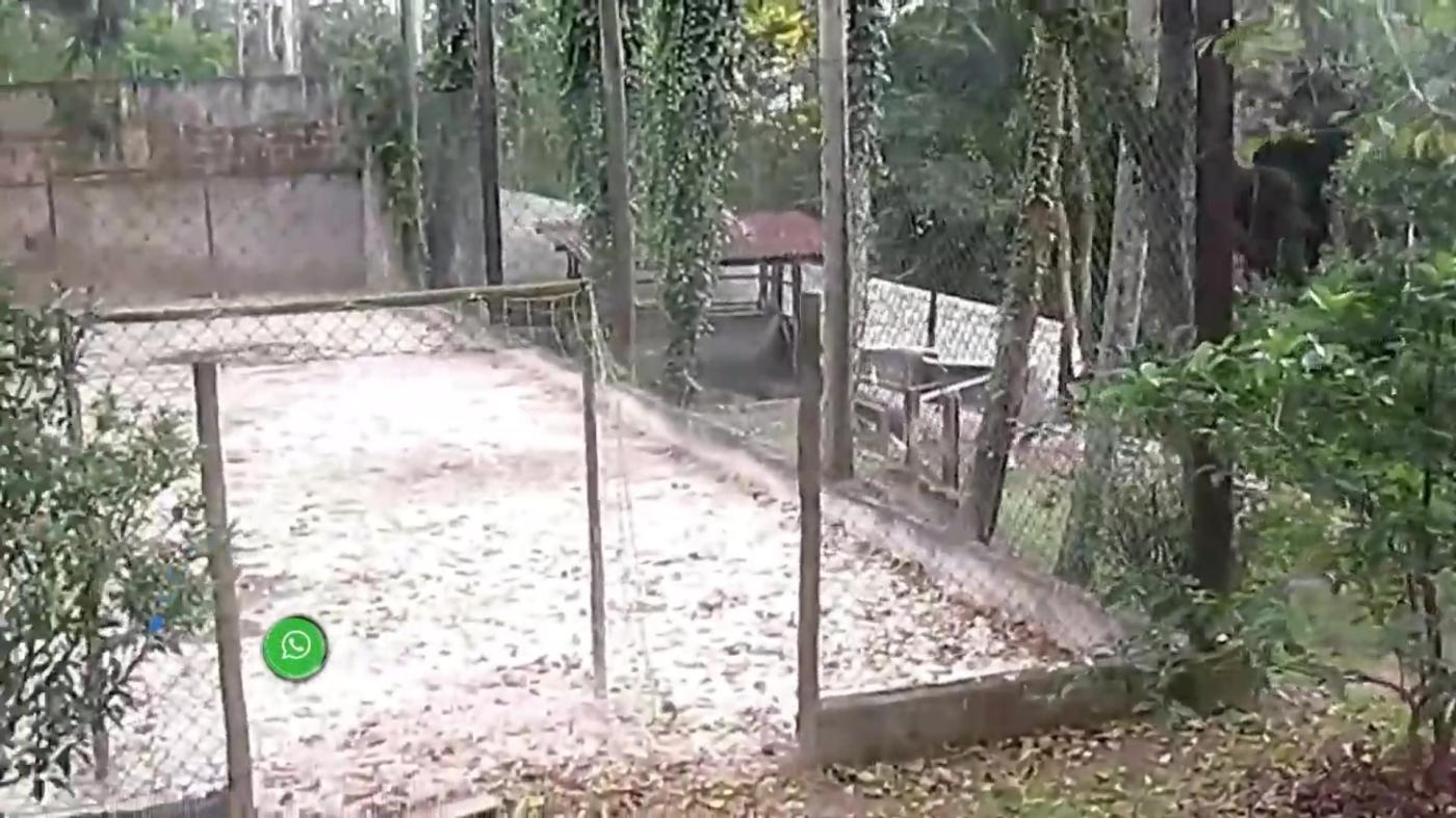 Chácara à venda com 4 quartos, 4000m² - Foto 28