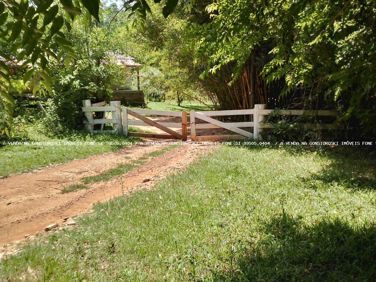 Fazenda à venda com 5 quartos, 20000m² - Foto 16