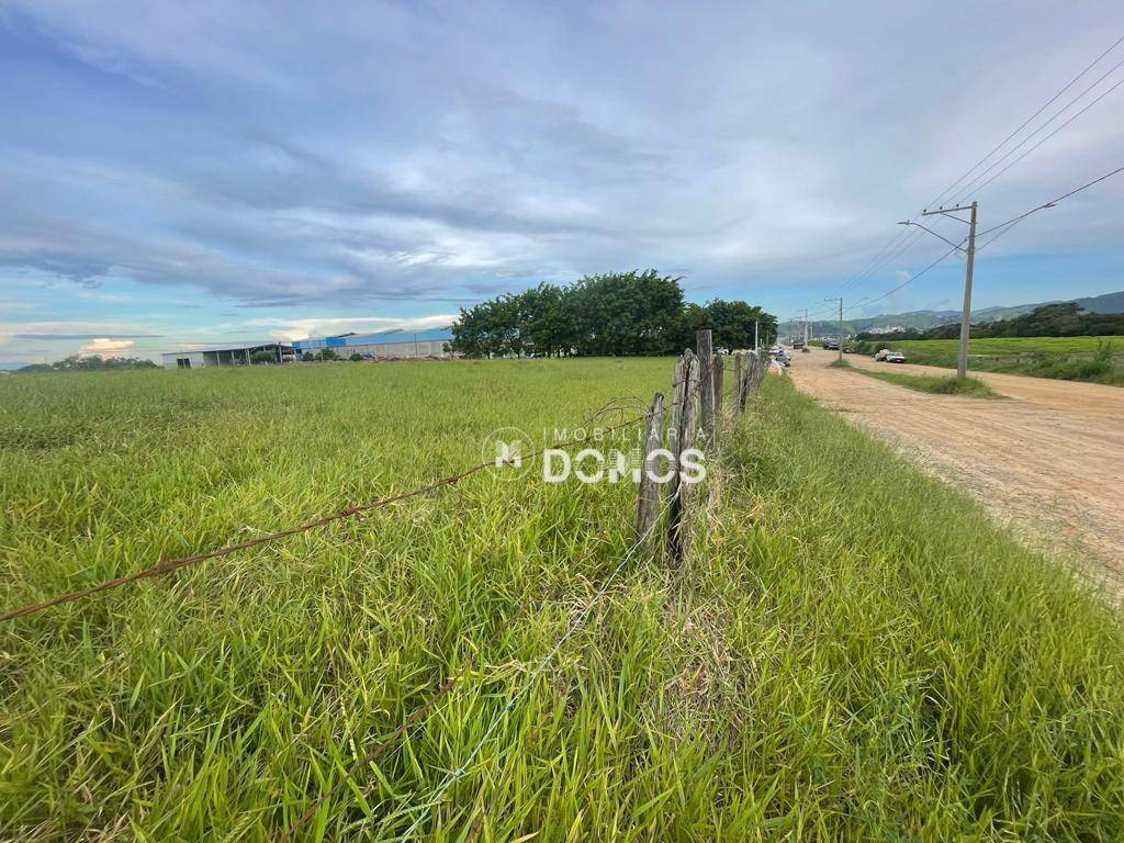 Terreno à venda, 2000M2 - Foto 4