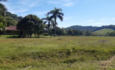 Fazenda à venda com 2 quartos, 290000m² - Foto 4