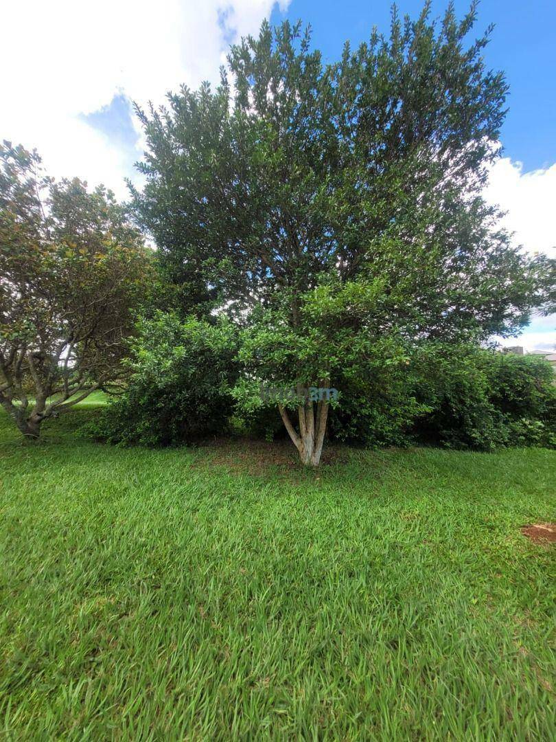 Chácara à venda com 2 quartos, 4325m² - Foto 26