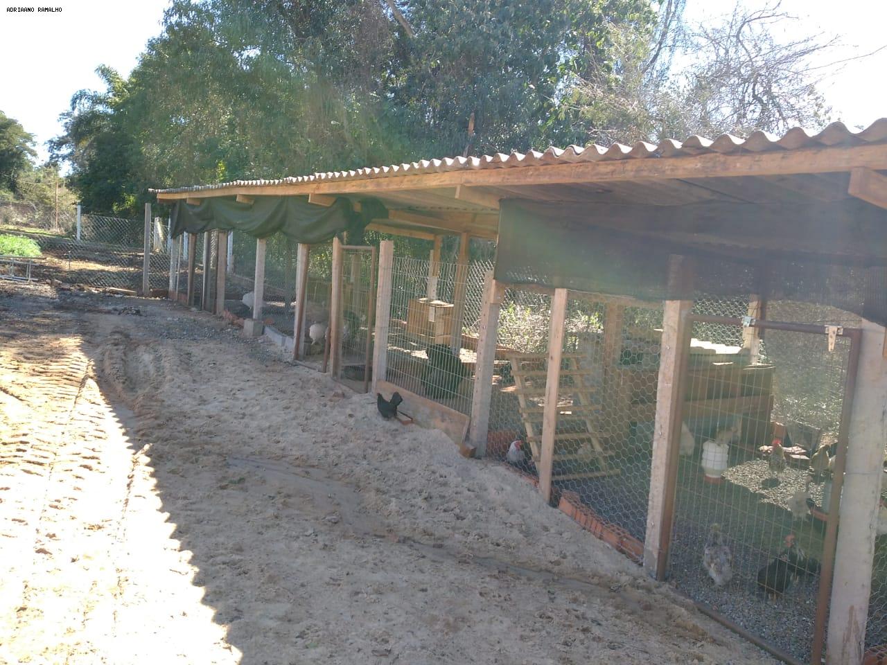 Fazenda para alugar com 3 quartos, 20000m² - Foto 31