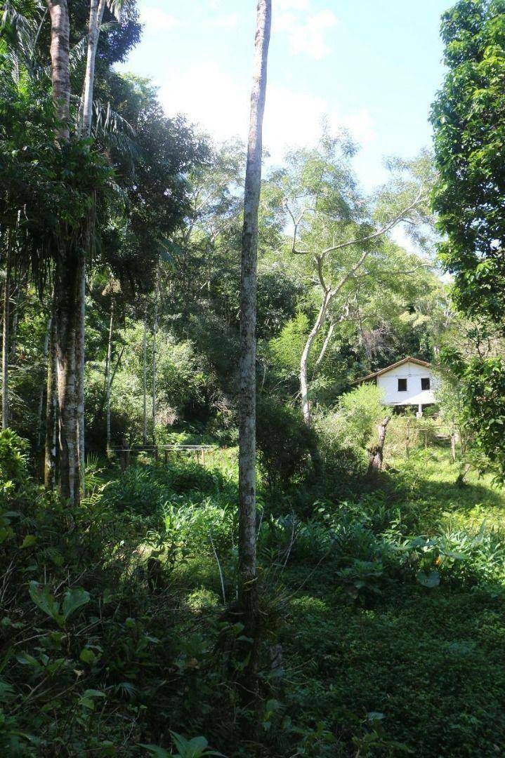 Sítio à venda, 120000M2 - Foto 28