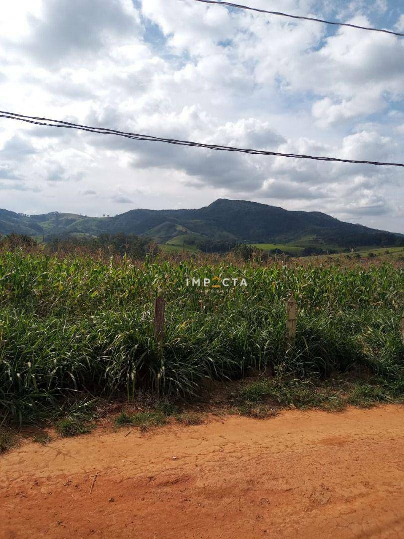 Terreno à venda, 1000M2 - Foto 7
