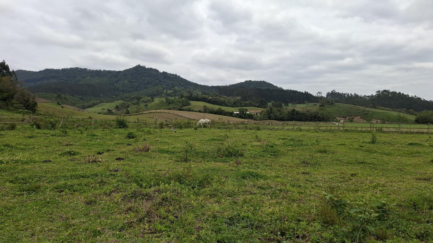 Fazenda à venda com 1 quarto, 10000m² - Foto 22