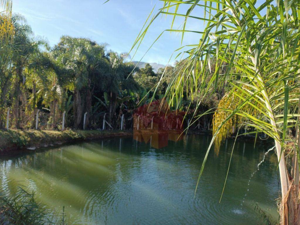 Sítio, 10 hectares - Foto 60