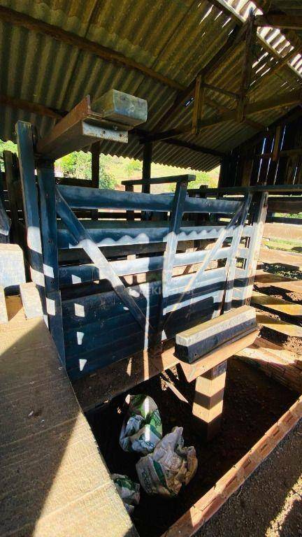 Fazenda, 286 hectares - Foto 14