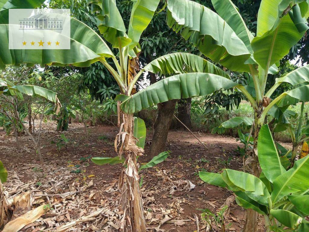 Chácara à venda com 1 quarto, 3000M2 - Foto 6