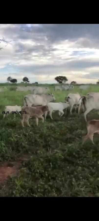 Fazenda à venda, 100m² - Foto 10