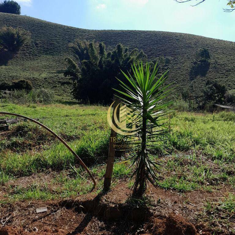 Terreno à venda, 3600M2 - Foto 5