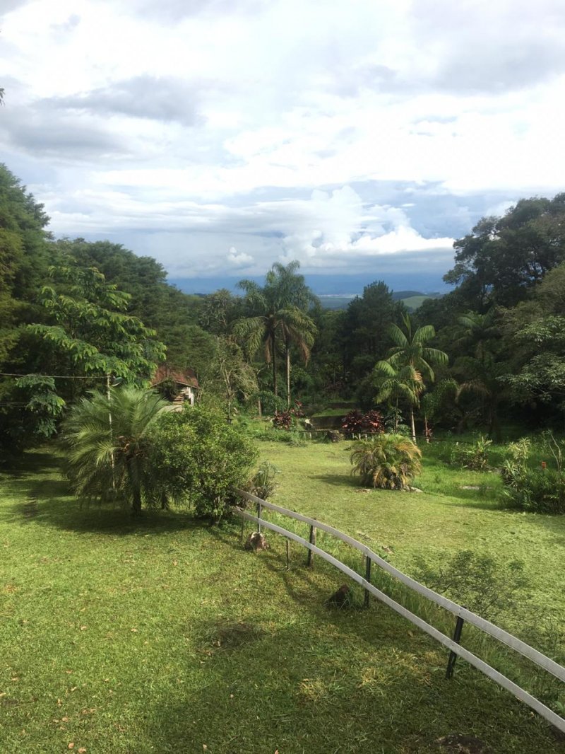 Fazenda à venda com 4 quartos, 90m² - Foto 4