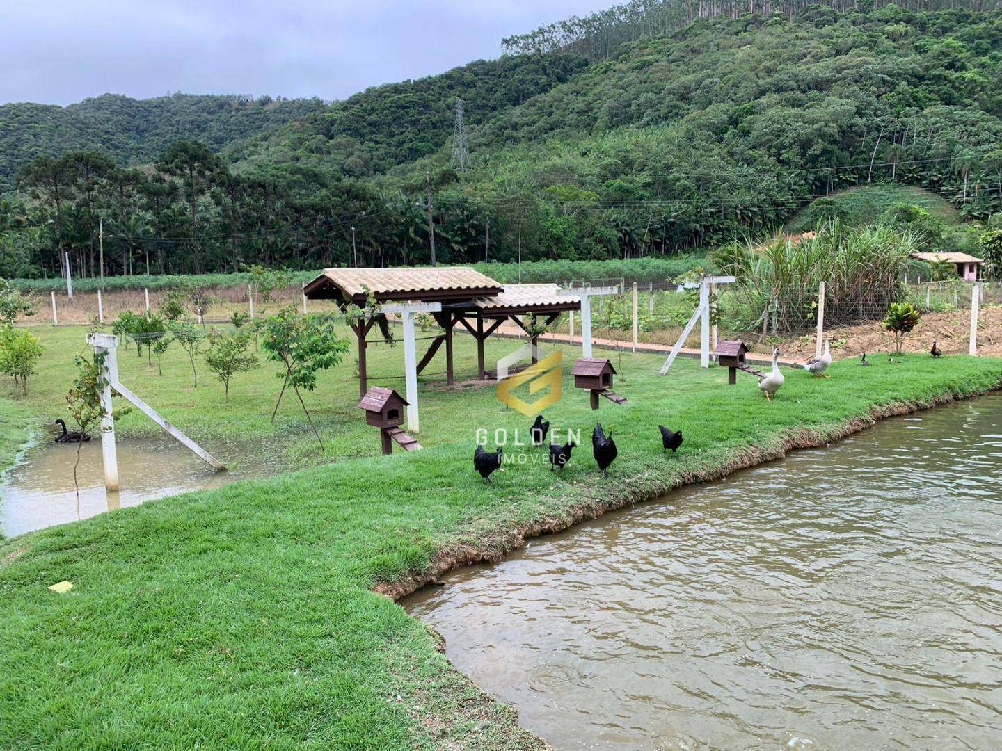 Chácara à venda com 3 quartos, 200m² - Foto 16