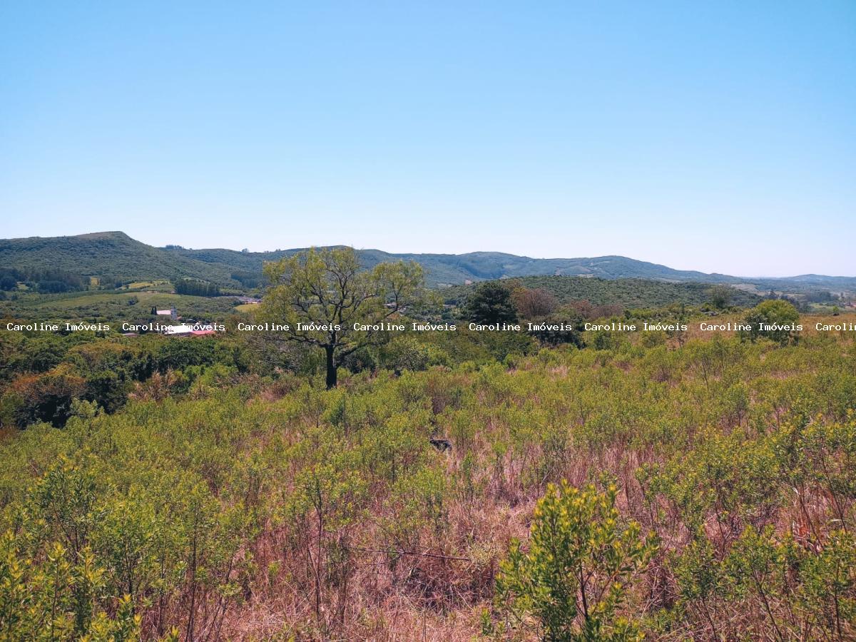 Terreno à venda, 5650m² - Foto 3